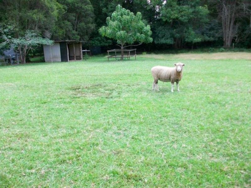 32 Old Chittaway Road, Fountaindale NSW 2258