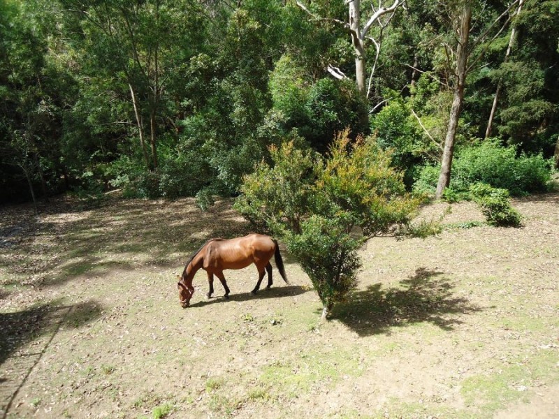 94 Blackbutt Street, Wyoming NSW 2250