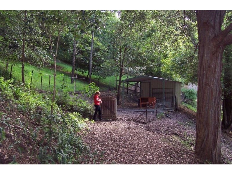 94 Blackbutt Street, Wyoming NSW 2250