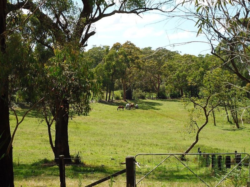 380 Somersby Falls Road, Somersby NSW 2250