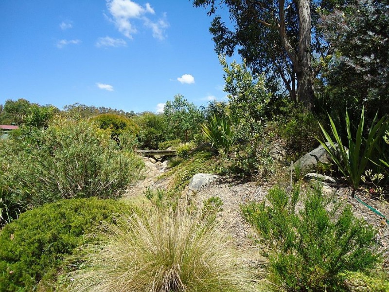 380 Somersby Falls Road, Somersby NSW 2250