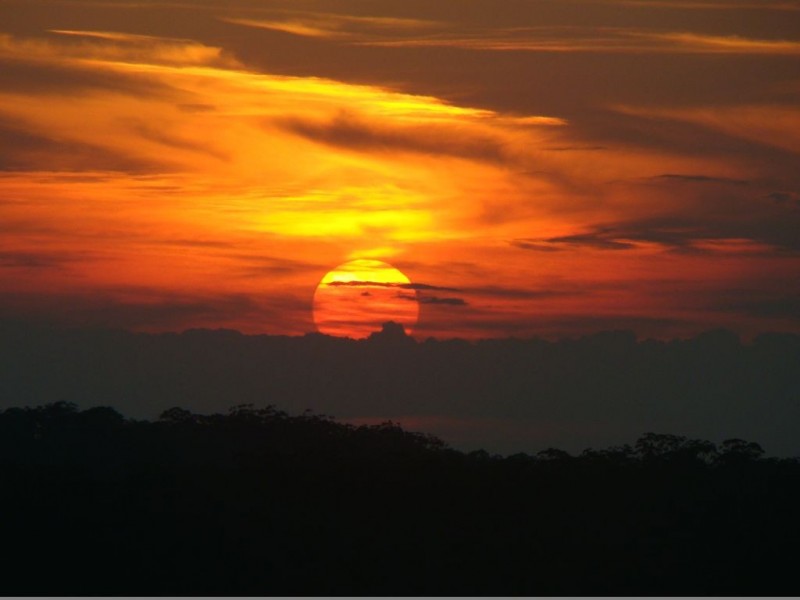 380 Somersby Falls Road, Somersby NSW 2250