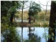 Mangrove Mountain NSW 2250