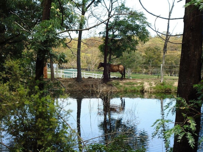 Mangrove Mountain NSW 2250