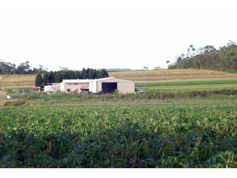 308 Waratah Road, Mangrove Mountain NSW 2250