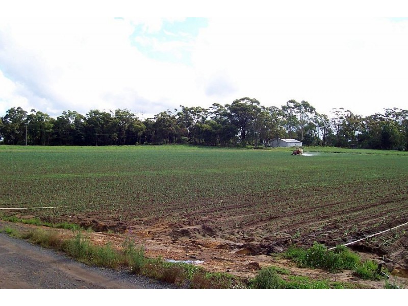 308 Waratah Road, Mangrove Mountain NSW 2250