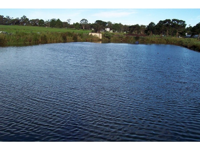 308 Waratah Road, Mangrove Mountain NSW 2250