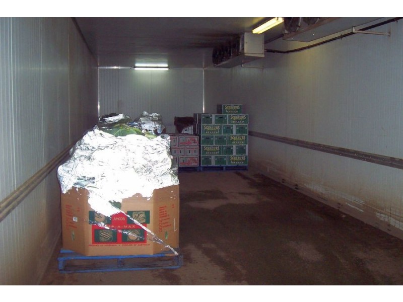 308 Waratah Road, Mangrove Mountain NSW 2250