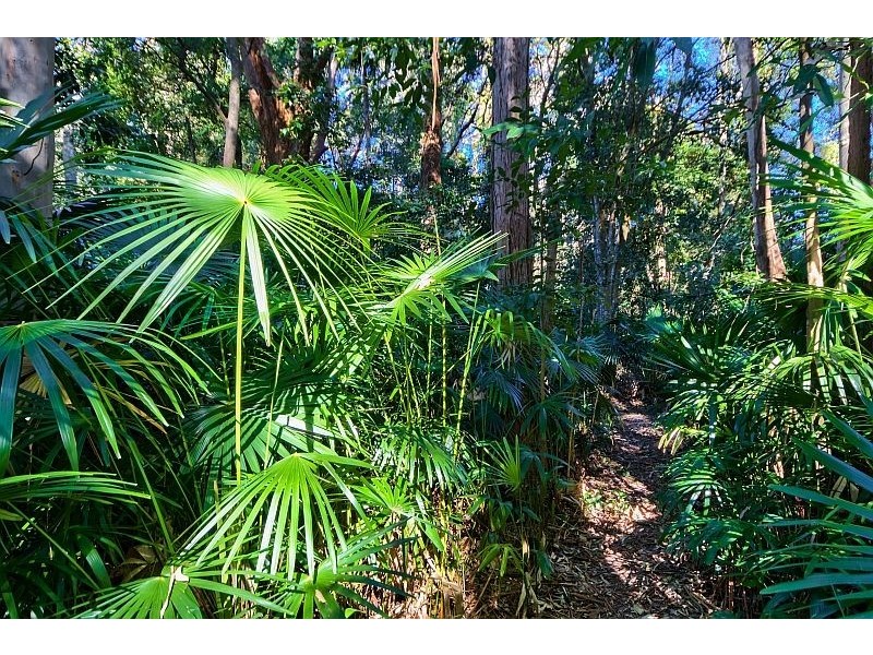 229 Oak Road, Matcham NSW 2250