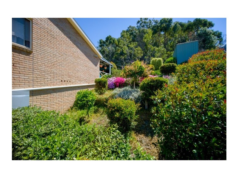 19 McKellar Close, Point Clare NSW 2250