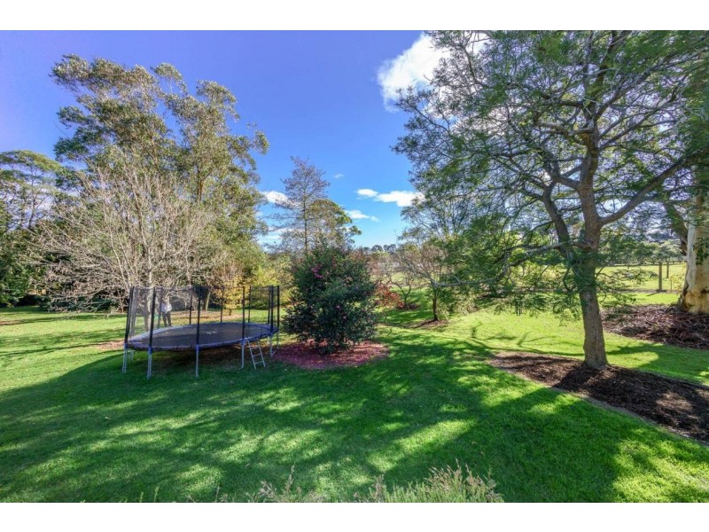 1168 Peats Ridge Road, Peats Ridge NSW 2250