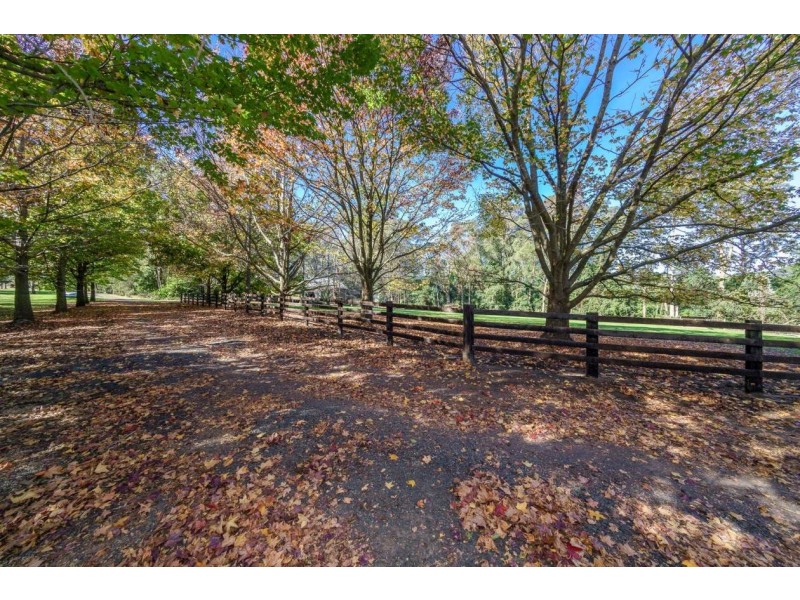 1168 Peats Ridge Road, Peats Ridge NSW 2250