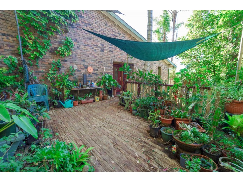 59 Gregory Street, Wyoming NSW 2250
