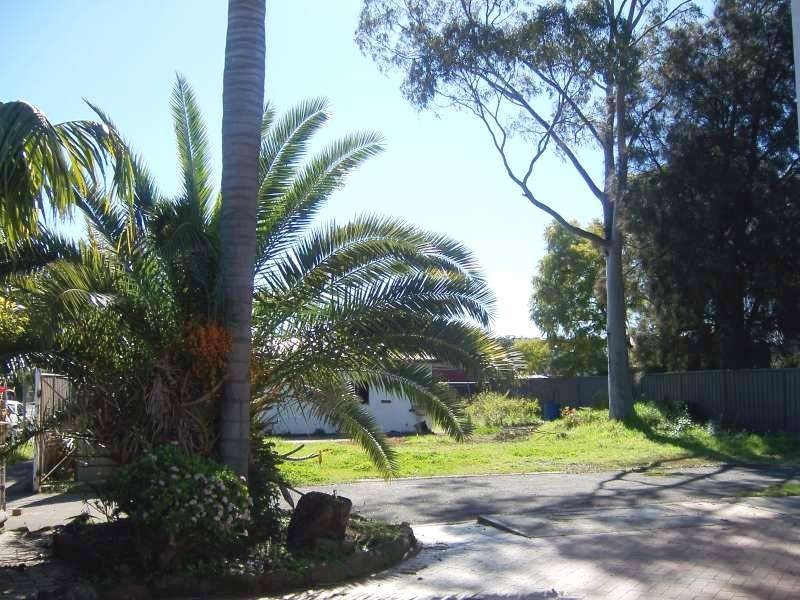 62 Fitzwilliam Road, Toongabbie NSW 2146