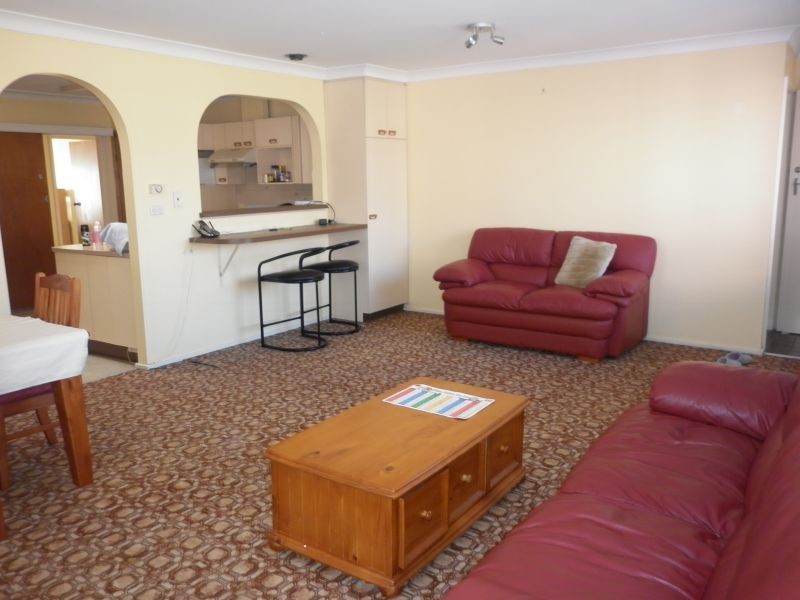 16 Strickland Place, Wentworthville NSW 2145