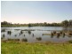 Pemulwuy NSW 2145