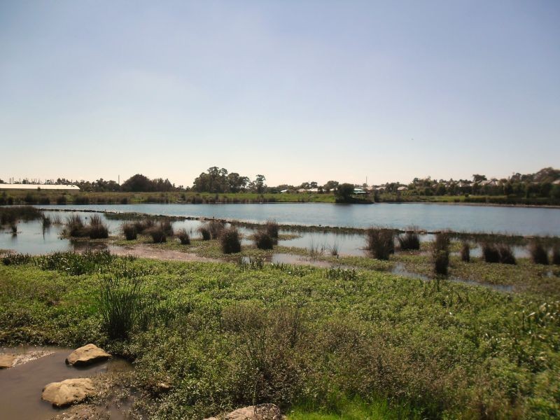 Pemulwuy NSW 2145