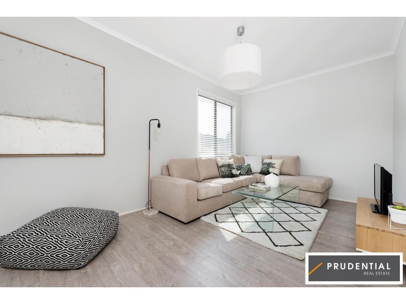 16 Treelands Avenue, Ingleburn NSW 2565