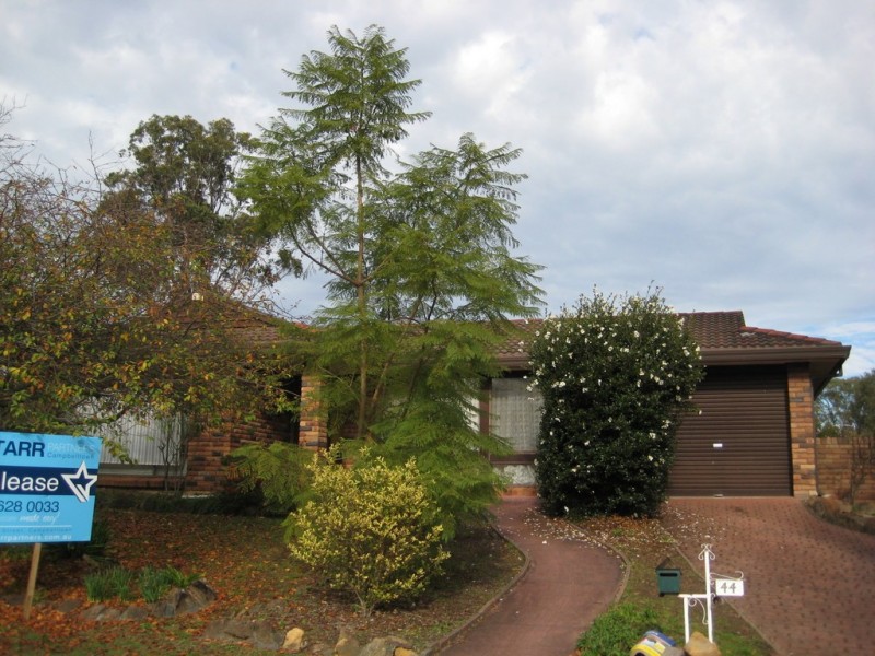 44 Bellinger Road, Ruse NSW 2560