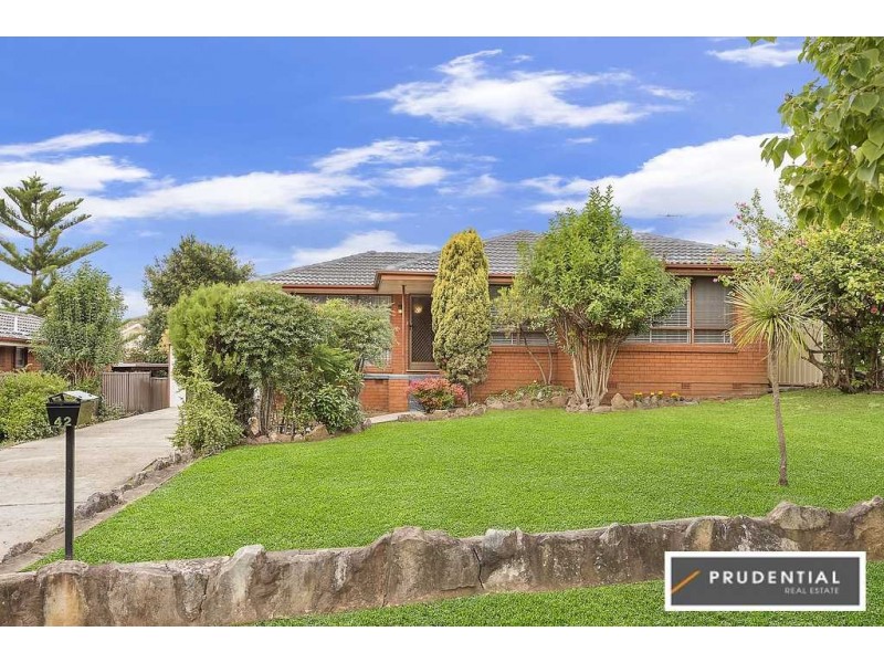 42 Raymond Avenue, Campbelltown NSW 2560