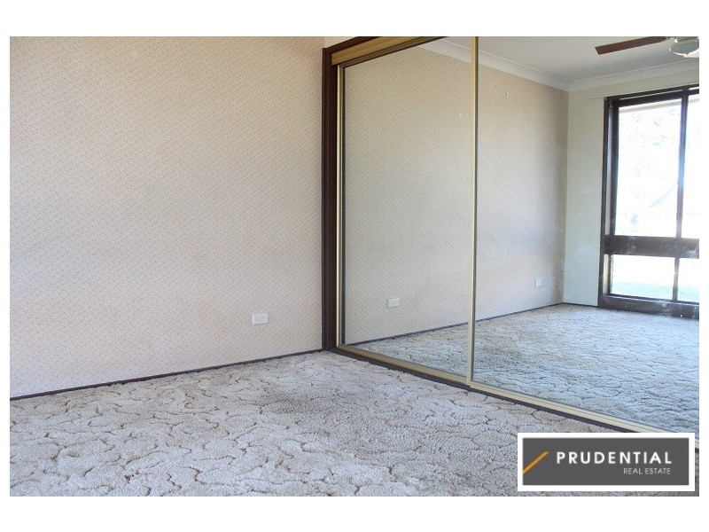 11 Chasselas Avenue, Eschol Park NSW 2558