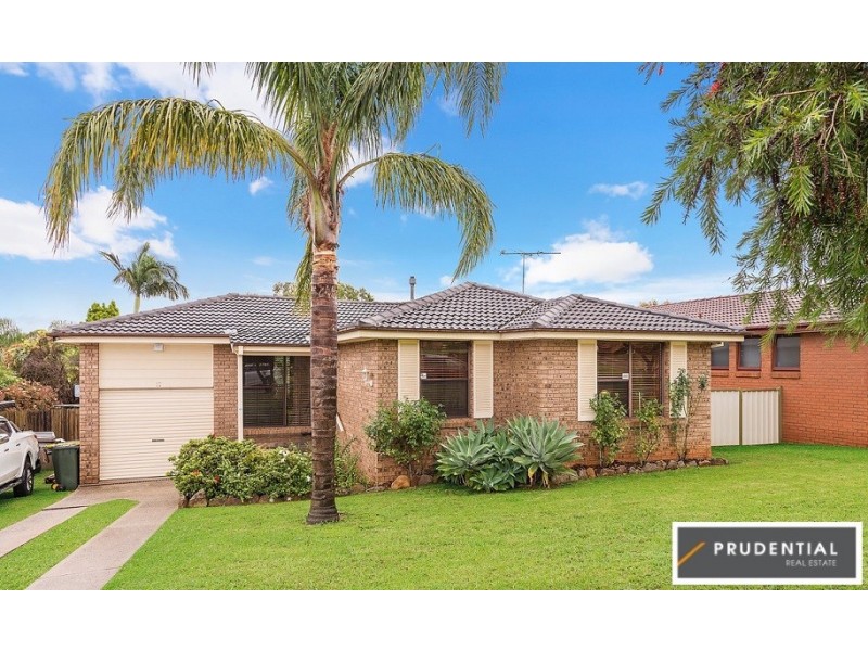 17 Hewitt Place, Minto NSW 2566