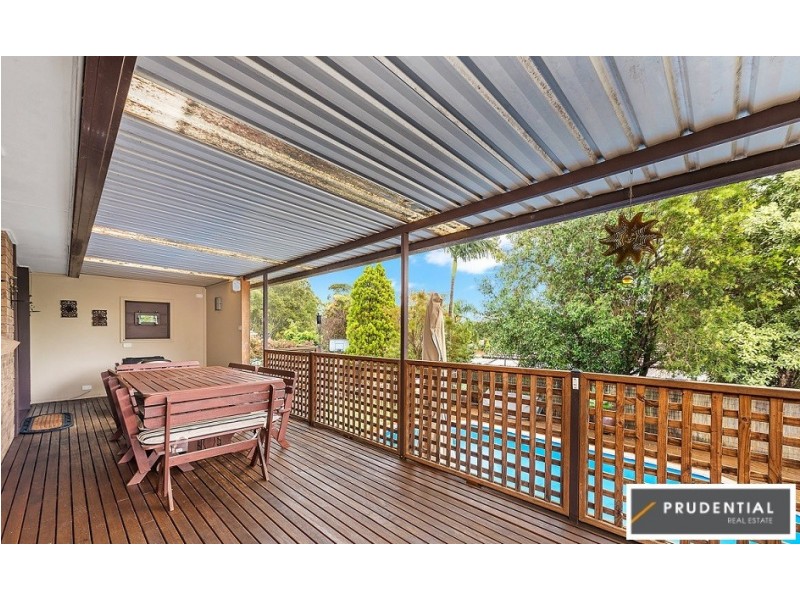 17 Hewitt Place, Minto NSW 2566