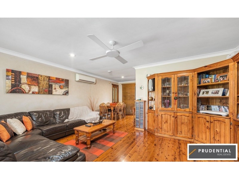 17 Hewitt Place, Minto NSW 2566