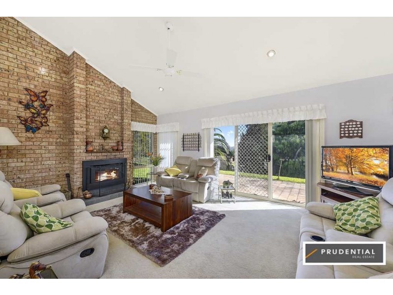 223 Eagleview Road, Minto NSW 2566