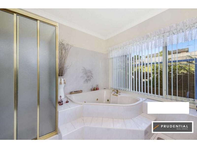 223 Eagleview Road, Minto NSW 2566