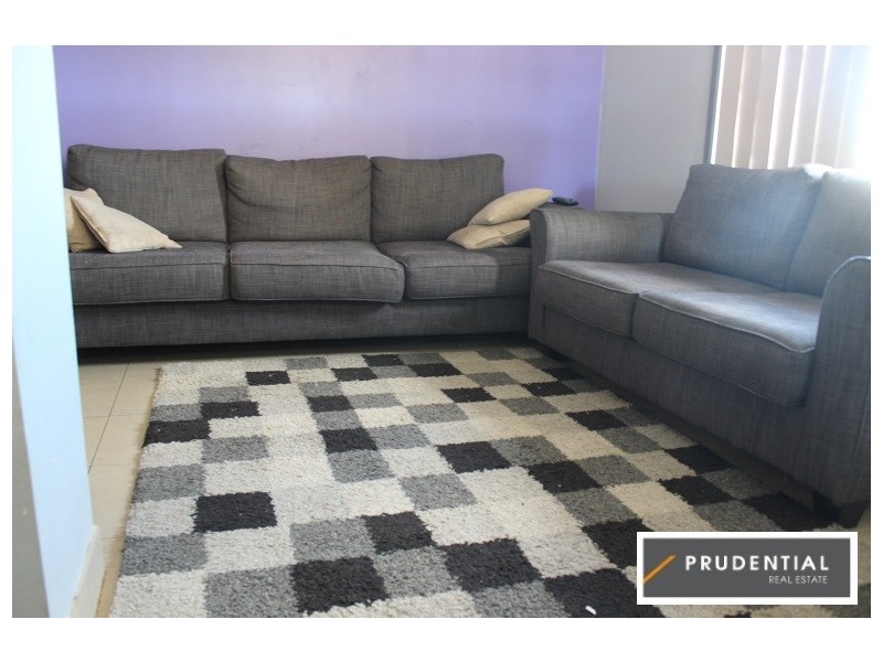 38 Zeolite Place, Eagle Vale NSW 2558