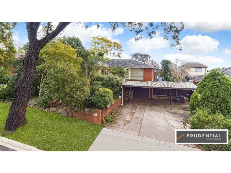 17 Randolph Street, Campbelltown NSW 2560