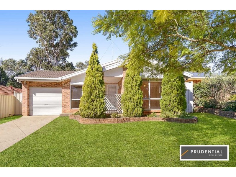 52 Townson Avenue, Minto NSW 2566