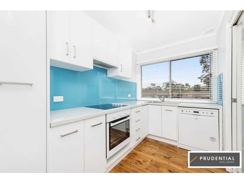 10 Green Lane, Bradbury NSW 2560
