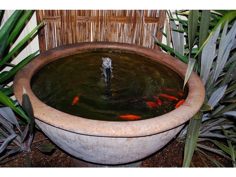 33 Thunderbolt Drive, Raby NSW 2566