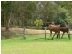 171 Aberfoyle Road, Wedderburn NSW 2560