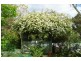 171 Aberfoyle Road, Wedderburn NSW 2560