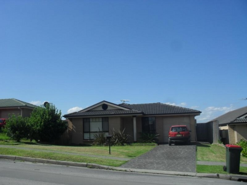 141 Holdsworth Drive, Mount Annan NSW 2567