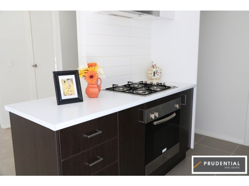 19 Kippax Street, Leumeah NSW 2560