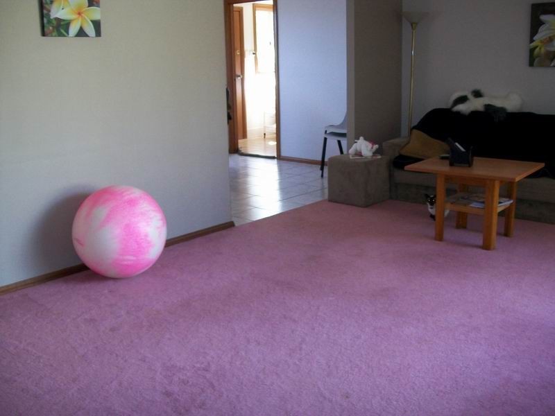 Rosemeadow NSW 2560
