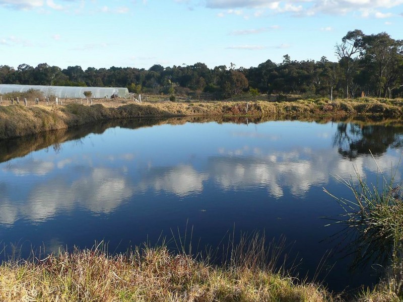 Wedderburn NSW 2560