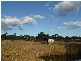 Wedderburn NSW 2560