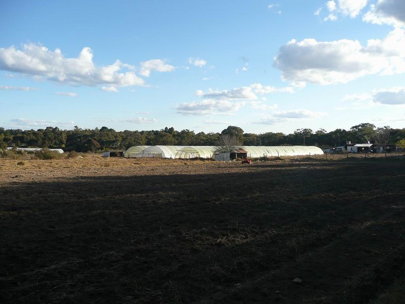 Wedderburn NSW 2560