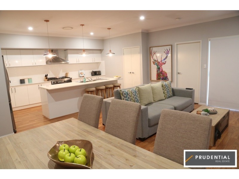 48 Nicholson Parade, Spring Farm NSW 2570