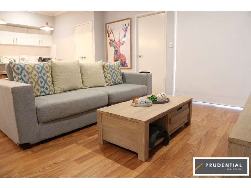 48 Nicholson Parade, Spring Farm NSW 2570