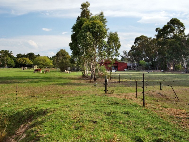 Wedderburn NSW 2560