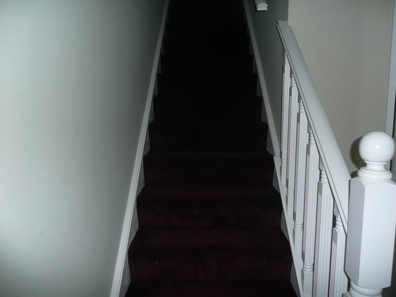 Blair Athol NSW 2560