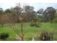 Kentlyn NSW 2560