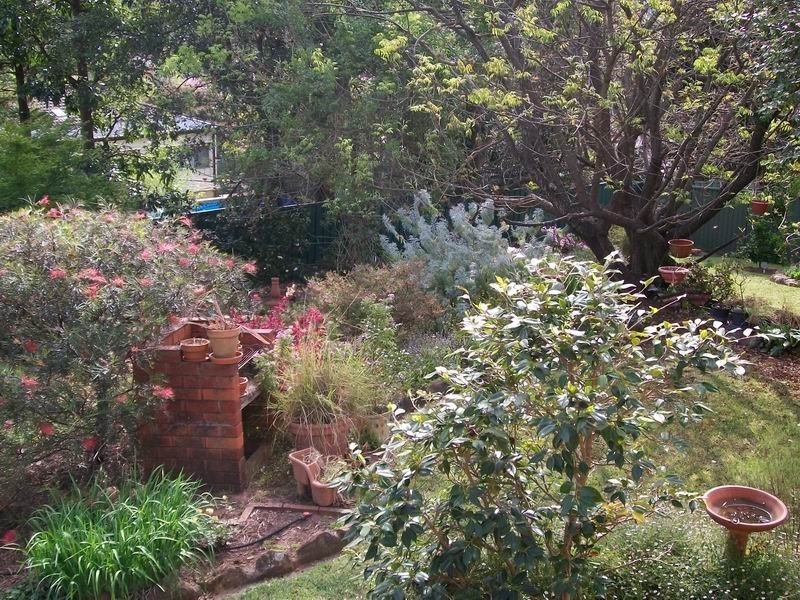 Campbelltown NSW 2560