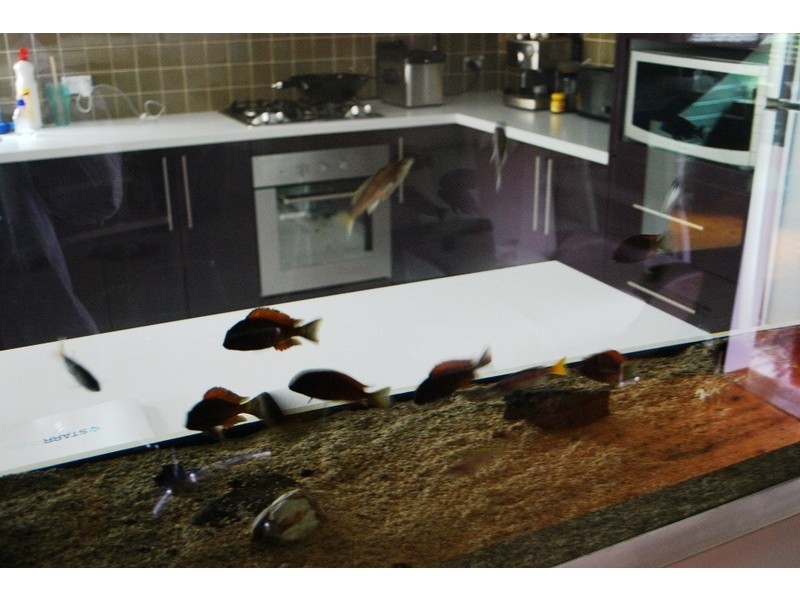 Campbelltown NSW 2560